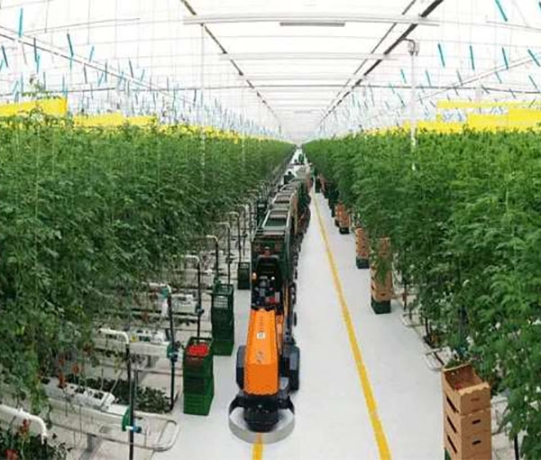 Agricultural Transportation